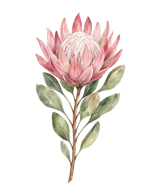 Home Snyman Flora
