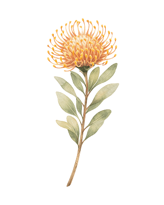Home Snyman Flora