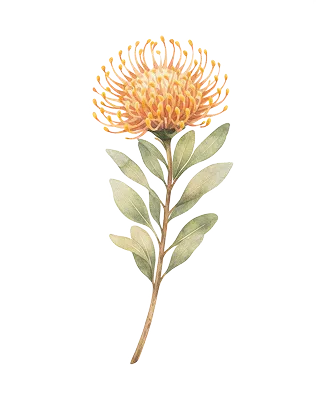 Home Snyman Flora