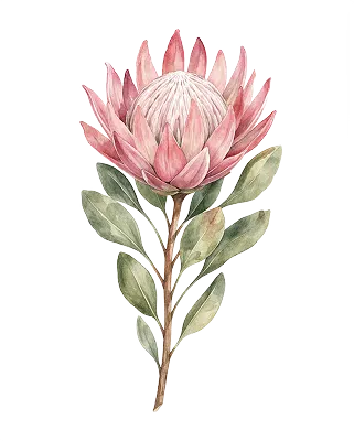Home Snyman Flora