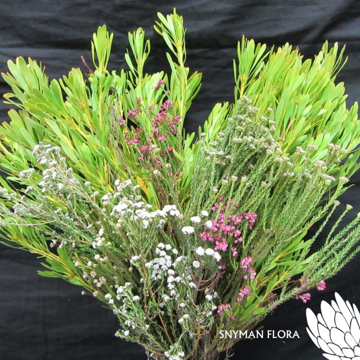 BouquetSafariGreenMay