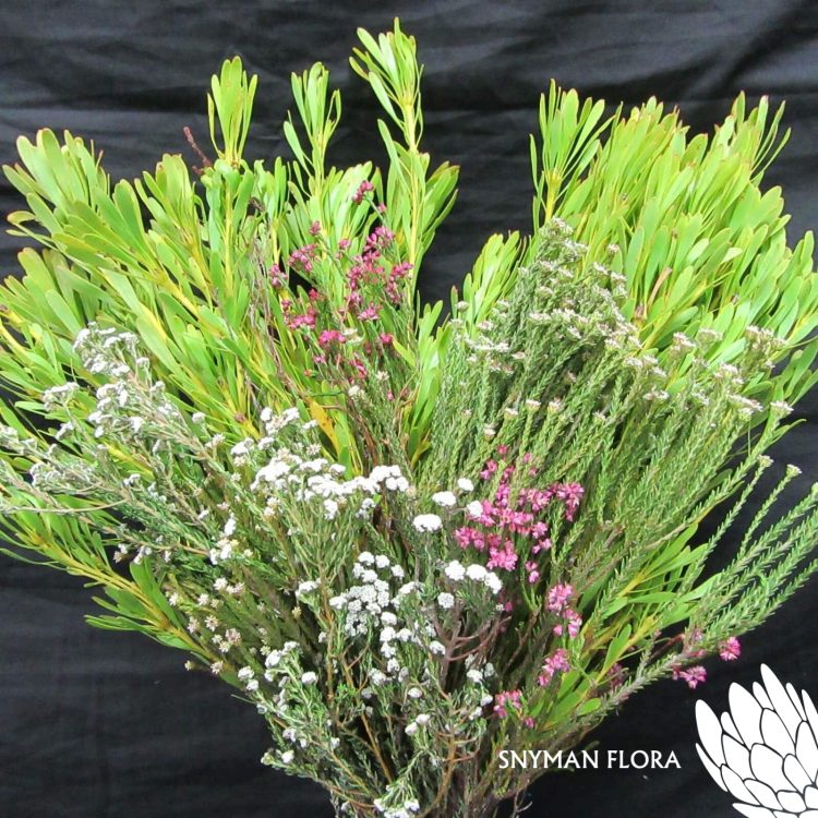 BouquetSafariGreenMay
