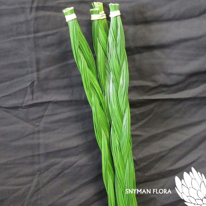 MinoraBraids