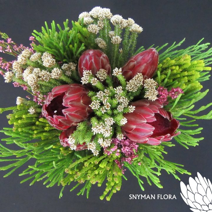 Premium 5 Protea Bqt
