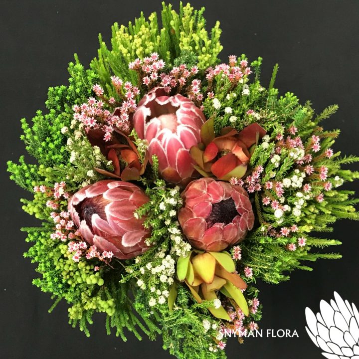 Protea Hybrid Carousel